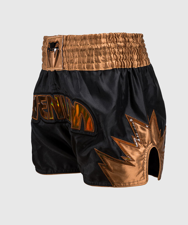 Shorts de kickboxing Venum Inferno – Noir/Bronze
