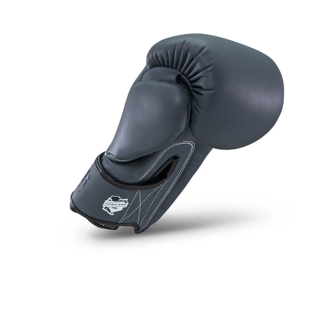 Luvas de boxe Booster PRO BGL VX2 – Azul-marinho