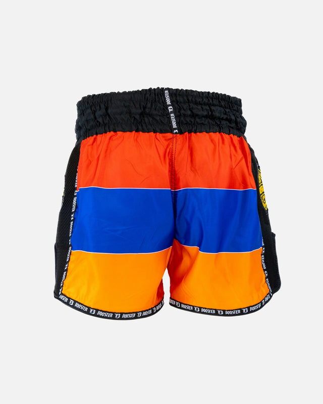 Booster Muay Thai shorts Country Armenia - Sort