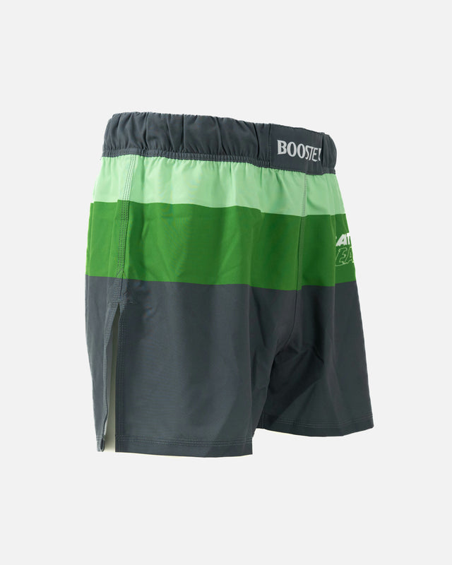 Shorts de MMA Booster Battle Hybrid