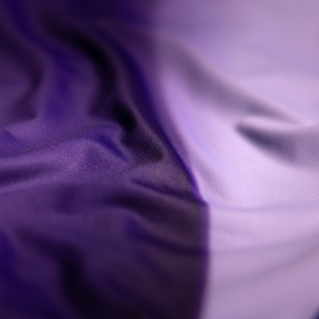 Hayabusa Rashguard Apex Nova Långärmad Barn - Lila