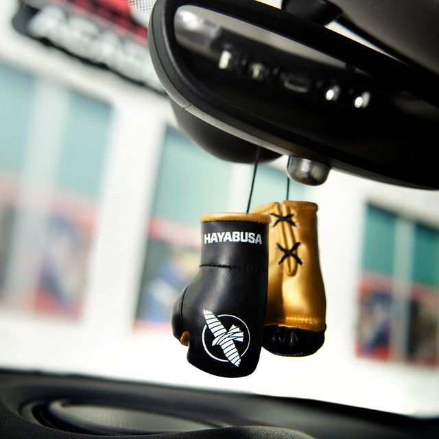 Guantes de boxeo Hayabusa Mini – Negro/Oro