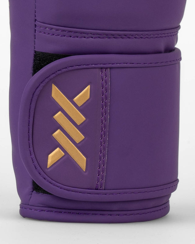 Caged Core Boxhandschuhe – Lila/Gold