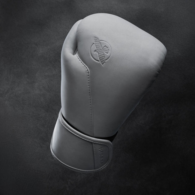 Luvas de boxe Hayabusa T360 – Sea Smoke