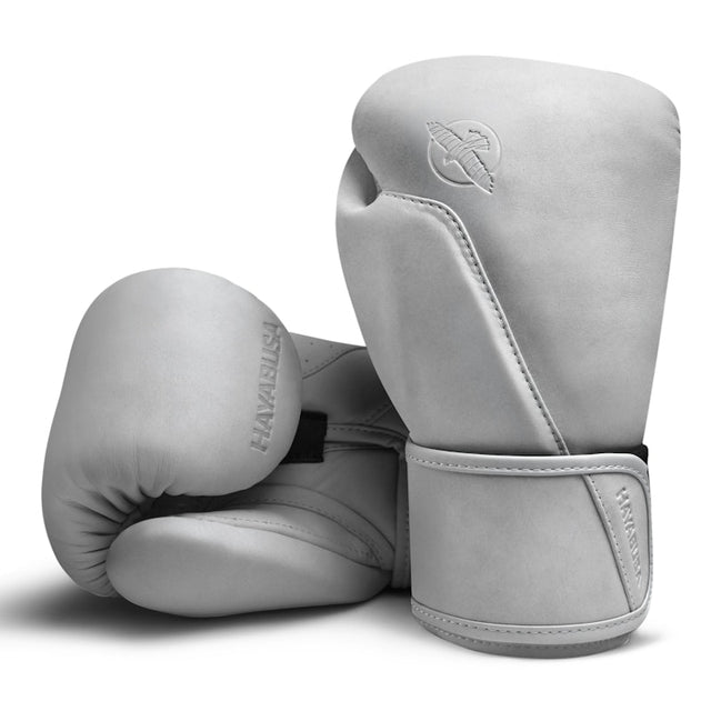 Luvas de boxe Hayabusa T360 – Sea Smoke