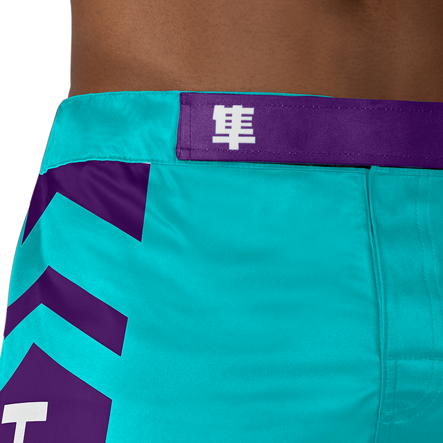 Shorts de MMA Hayabusa Icon Lang – Vert océan