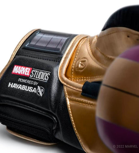 Guantoni da boxe Hayabusa Batroc – Viola/Oro/Nero