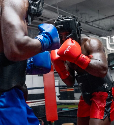Guantoni da boxe Hayabusa Pro Boxing Veters – Rosso