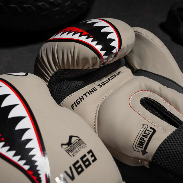 Guantoni da boxe Phantom Fight Squad – Sabbia
