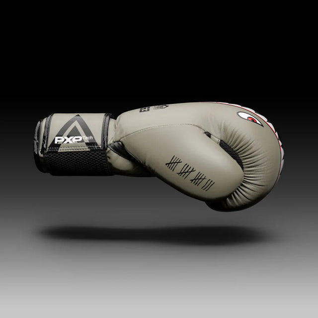 Guantoni da boxe Phantom Fight Squad – Sabbia