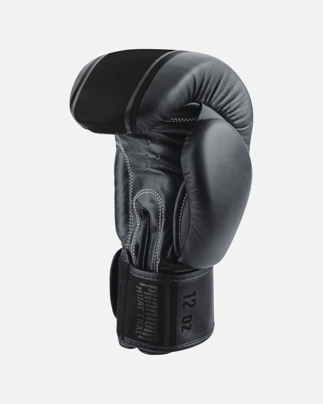 Gants de boxe Phantom Athletics MT-Pro – Noir