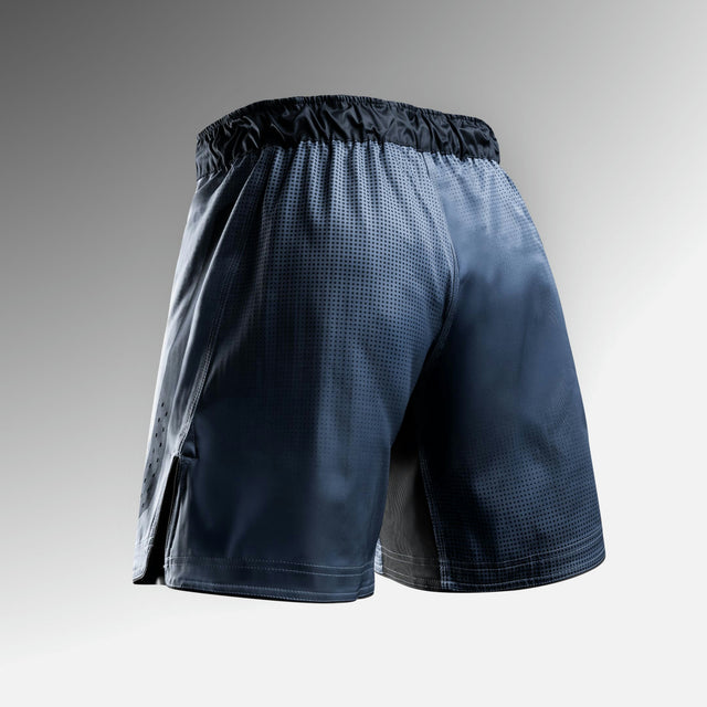 Hayabusa MMA-shorts Apex Core - Blå