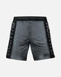 Pantaloni scurți MMA Phantom Athletics EVO Apex – Gri