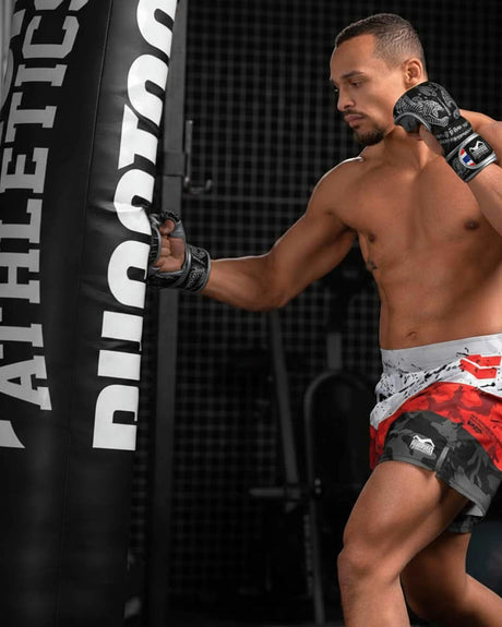 Phantom Athletics MMA Handschoenen Sparring Muay Thai - Zwart/Zilver