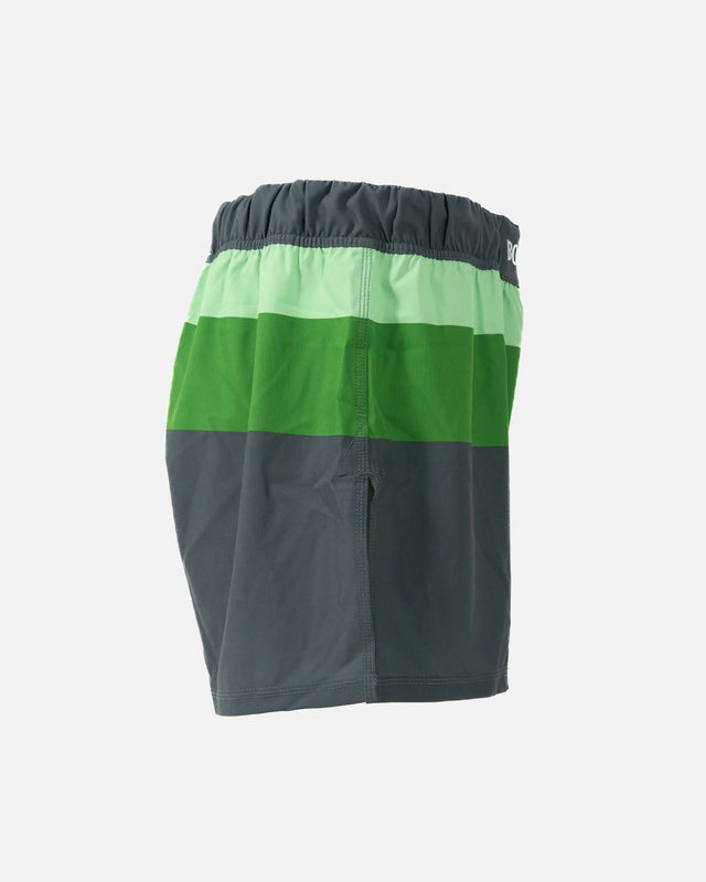 Shorts de MMA Booster Battle Hybrid
