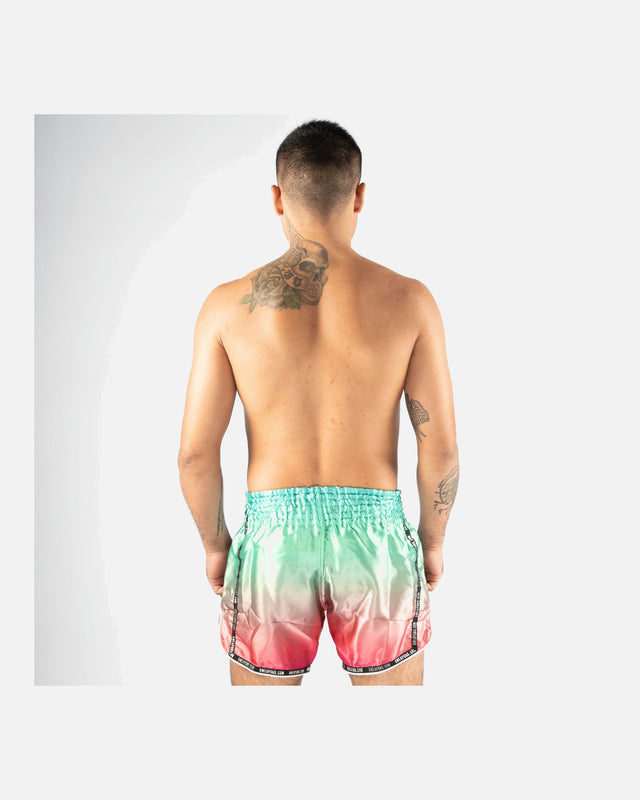 Pantalones de Muay Thai 8 WEAPONS Vivo Mesosphere – Mesosphere